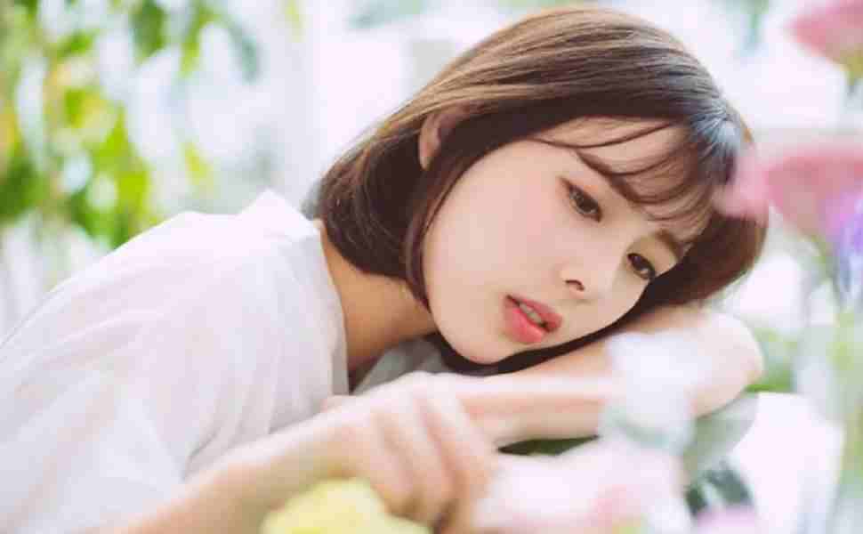 织梦怎么做站群